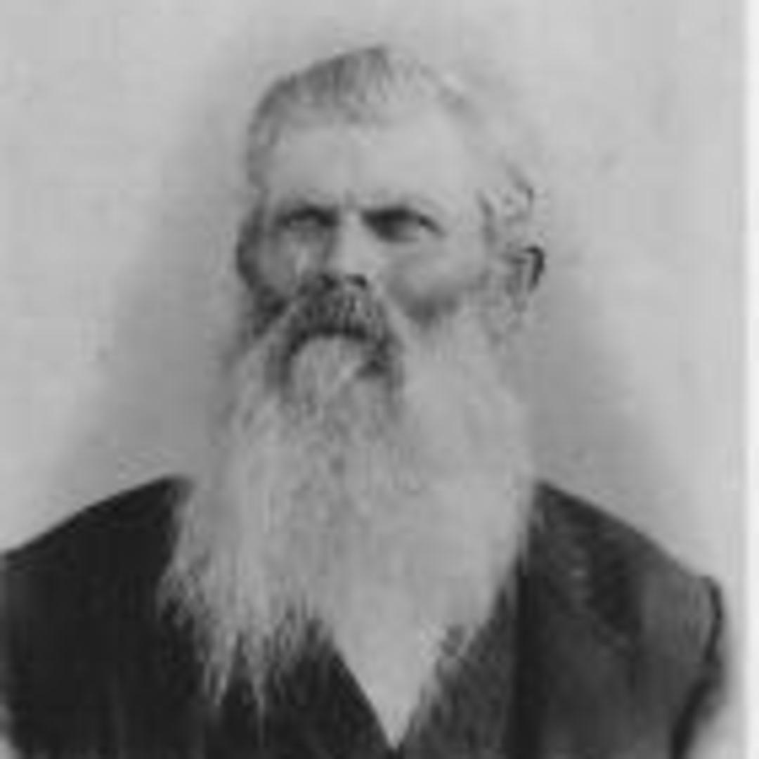 Parley Pratt Allred (1839 - 1904) Profile
